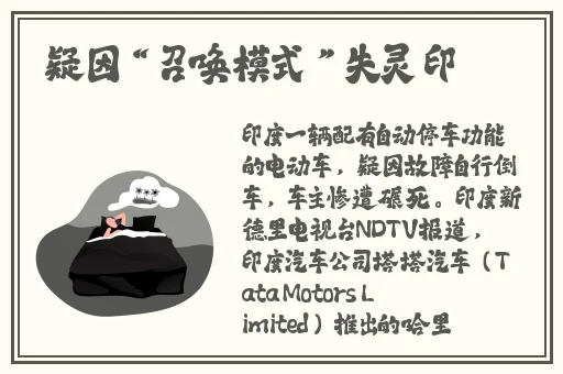 GOGOGO中国剧情介绍与评价大牛