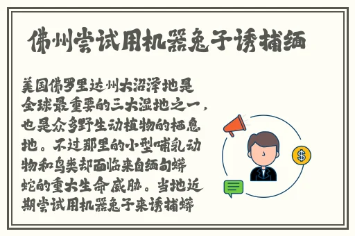 手机福利视频